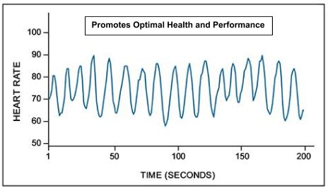 Macquarie Institute Heartmath Usa S Representative For Australia