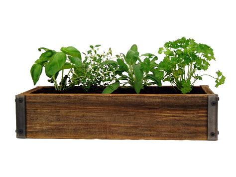 Indoor Herb Garden - Kits to Grow Herbs Indoors | HGTV