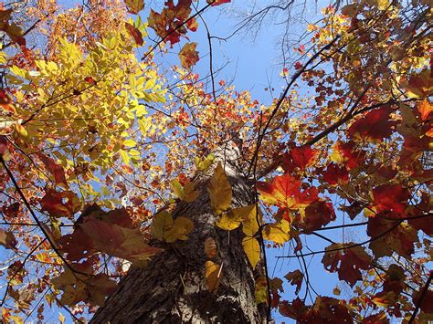 In The Fall Photograph By Robert Nickologianis Fine Art America