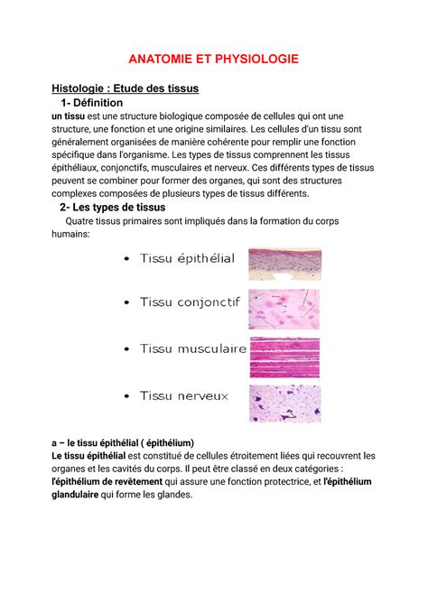 Histologie étude De L Histologie Anatomie Et Physiologie Histologie Etude Des Tissus 1