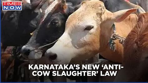 Karnataka Anti Cow Slaughter Law Passed After Governor Gives Assent