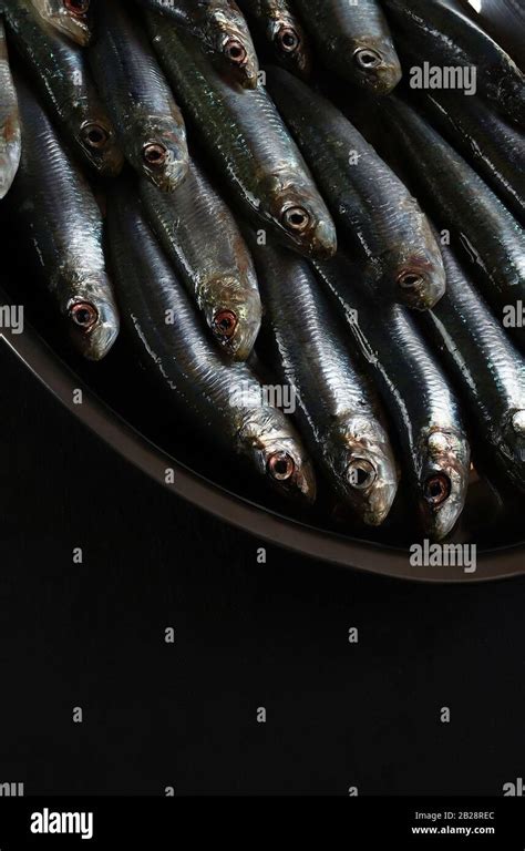 Fresh Fish Top View Of Fresh Sardines On Dark Background With Copy