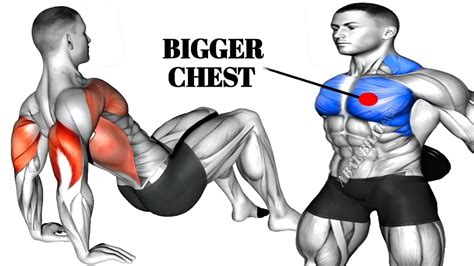 10 Best Bigger Chest Exercises At Home Youtube