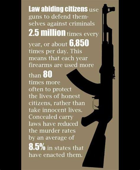 Gun Control Facts Inforgraphics On Gun Ownership