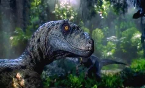 Real Life Jurassic Park Can Scientists Bring Back Dinosaurs Using Preserved Dna