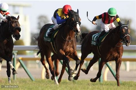 【クイーンc】昨年の勝ち馬は秋華賞馬に！求められるのはスタミナ！ 競馬ニュース 競馬ラボ