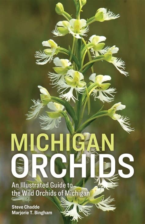 Michigan Orchids: An Illustrated Guide to the Wild Orchids of Michigan ...