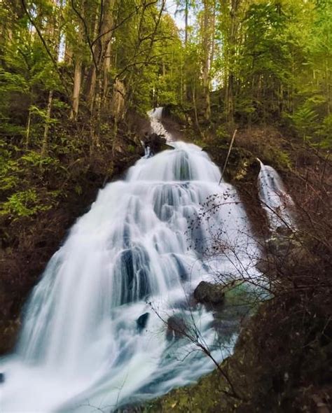 Hayward Lake Reservoir Trail Photo Hiking Photo Contest