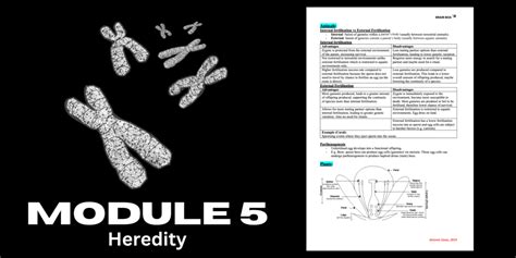 Band Hsc Biology Module Notes