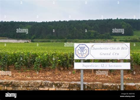 Vineyard Chambertin Clos De Beze Grand Cru Gevrey Chambertin Cote De