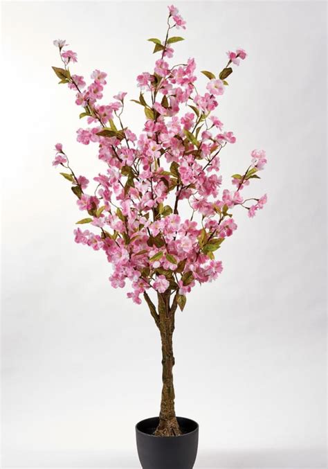 Home Depot Is Selling Cherry Blossom Trees For $39 | POPSUGAR Home UK