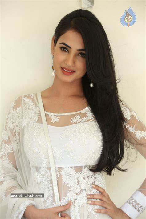 Sonal Chauhan Hot Photos Photo 79 Of 100