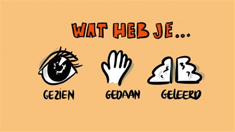 Wat Heb Je Gezien Gedaan Geleerd Leren Met Leff