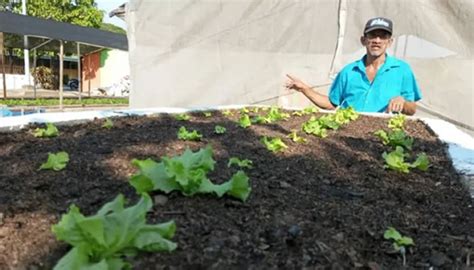 Minppau Impulsa Agricultura Sostenible Con Programa Mi Conuco Escolar