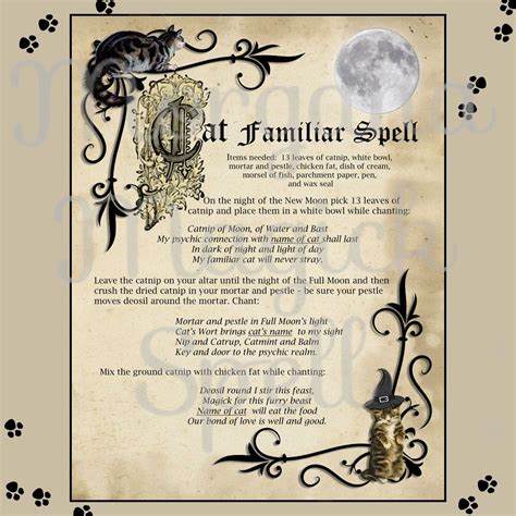 CAT FAMILIAR SPELL 2 Pages Get A Cat Familiar Witchcraft Etsy