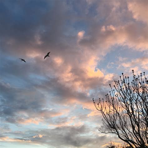 Automne Ciel Des Nuages Photo Gratuite Sur Pixabay Pixabay