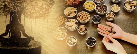 A PROSPECTIVE ABOUT CLINICAL SPECIALITIES OF AYURVEDA | The Ancient ...