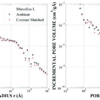 Figure A Probability Density Values Of The Pore Radius Distribution