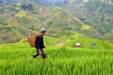 Rural China Pictures | Download Free Images on Unsplash