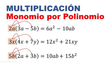 Monomio E Polinomio Exercicios Librain