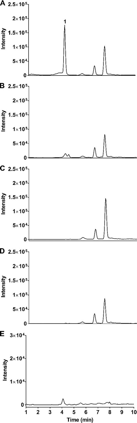 Extracted Ion Chromatogram For Mz 354 A Idr 0258237 Treated