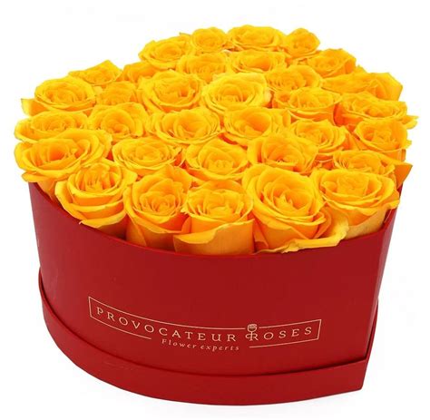 Caja Corazón de Rosas Preservadas Provocateur Roses