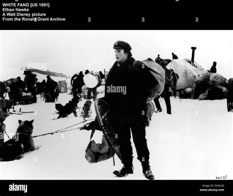 White fang ethan hawke 1991 hi-res stock photography and images - Alamy