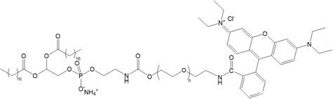 DSPE PEG RB 磷脂聚乙二醇罗丹明 DSPE PEG Rhodamine B CSDN博客