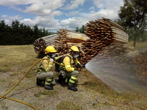 Naturaleza Castilla Y Le N On Twitter La Cuadrilla