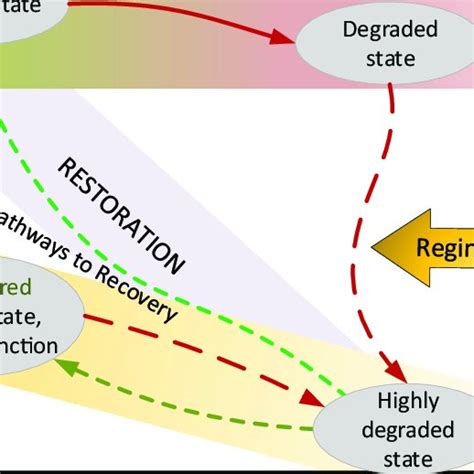 Diagrammatic Representation Of The Options And Pathways To Recovery For