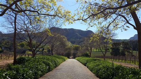 Cape Town Wine Tours - Book a Cape Town Wine Tour R950pp