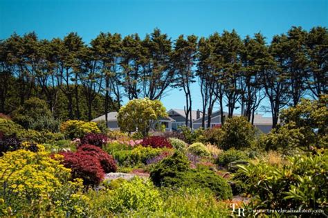 Mendocino Coast Botanical Gardens - A Photo Essay! - Travel Realizations