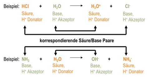 Kapitel S Ure Base Theorie Karteikarten Quizlet