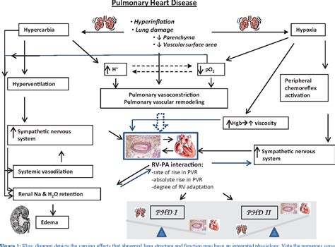 Figure 1 from Pulmonary heart disease: The heart-lung interaction and ...