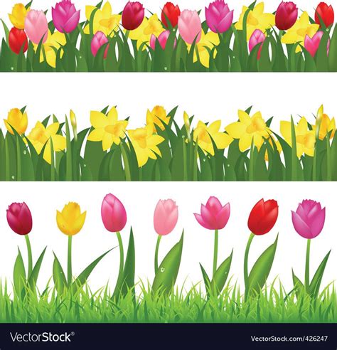 3 Flower Borders From Tulips And Narcissuses Isolated On White