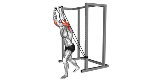 Maximize Arm Strength Band Overhead Triceps Extension Male Video