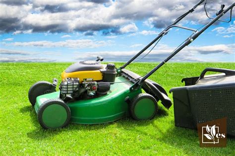 Seized Lawn Mower Engine Its Causes And Its Solutions Evergreen Seeds