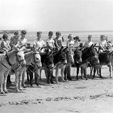 Donkey Rides On Bridlington Beach East Yorkshire Educational Images