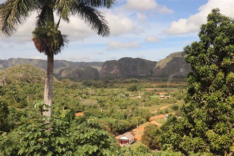 7 Unmissable Things to do in Vinales, Cuba [Day Trip Guide]