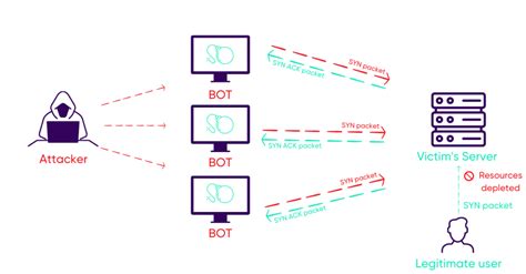 Attaque DDoS comment protéger votre organisation