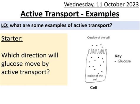 Active Transport Examples - SEN/LAP | Teaching Resources