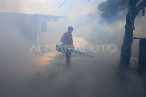 Pengasapan Guna Cegah Wabah Dbd Antara Foto