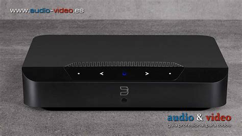 Bluesound Omni Hybrid Pulse M Altavoz Inal Mbrico