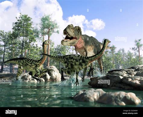 T rex Tyrannosaurus rex dinosaur hunting Gallimimus dinosaurs Stock ...