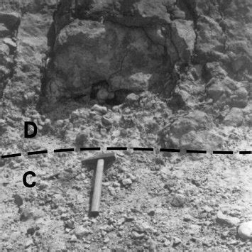 Outcrop Of Subunit C And D Showing A Sharp Contact Between Marlstone