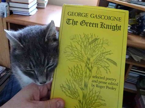 The Green Knight The Life And Work Of The Poet George Gascoigne