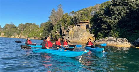 Sydney: Guided Kayak Tour of Manly Cove Beaches | GetYourGuide