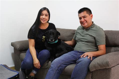 Adoptaron A Jacob Perrito Que Perdi Una De Sus Patas Tras Ser