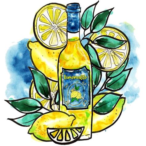 Limoncello Watercolor Illustration Floral Illustrations Watercolor