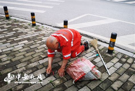 合肥一六旬环卫工跪地除草：“不想让儿子知道”安徽频道凤凰网